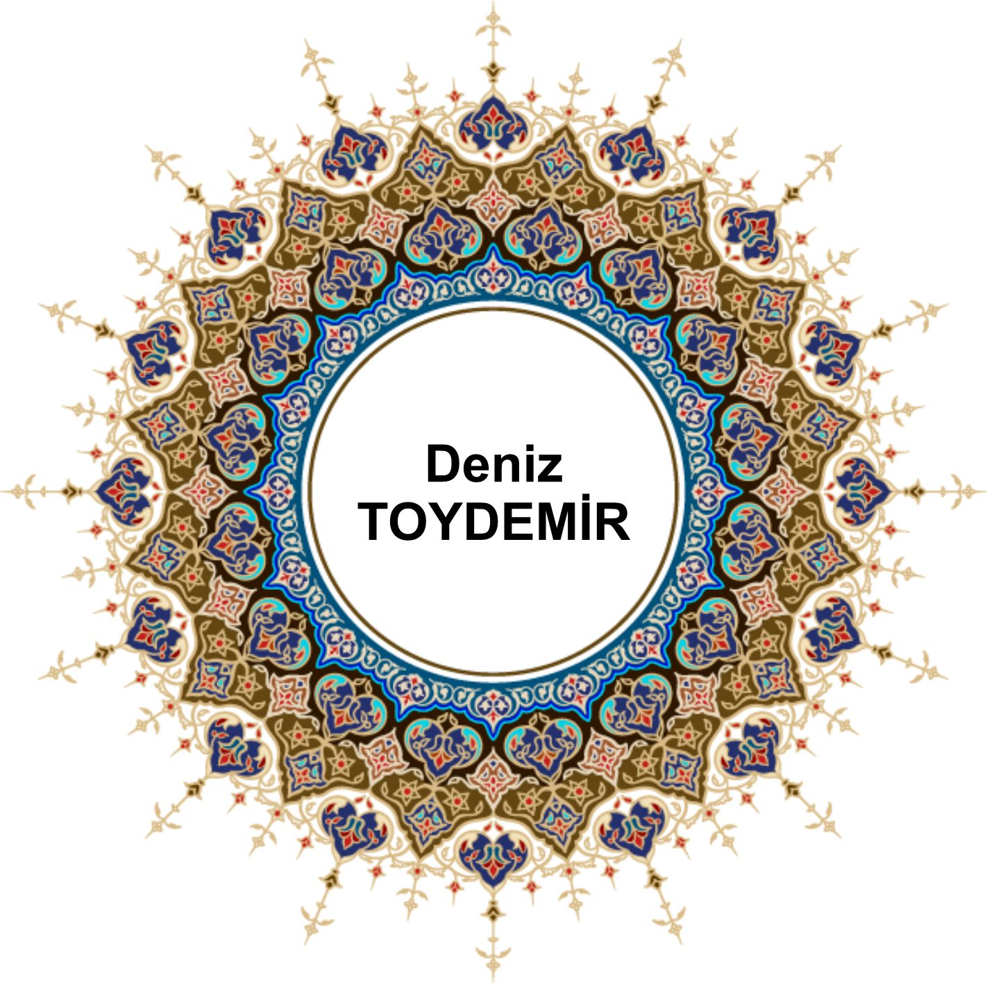 deniz toydemİr